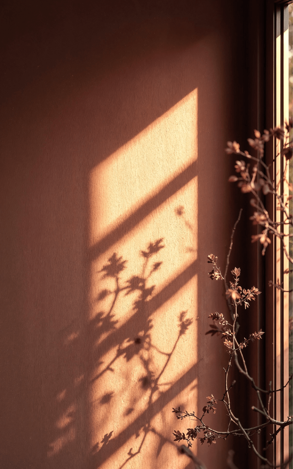 Picture of home decoration